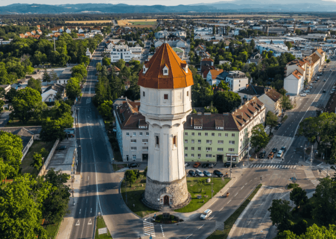 Weekend Market Hopping in Wiener Neustadt for Budget Travelers